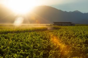 Uco Valley in Mendoza