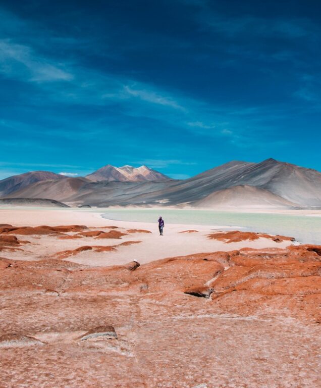 Atacama Chili