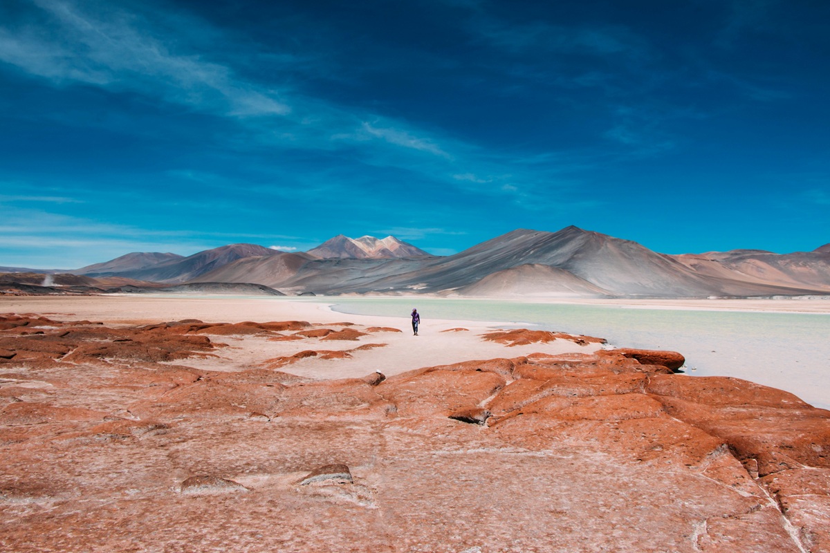 Atacama Chili
