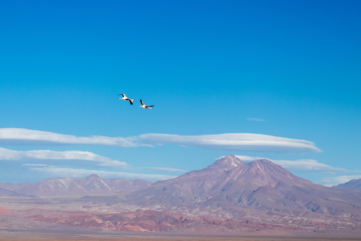 Ballonvlucht over de Atacamawoestijn in Chili