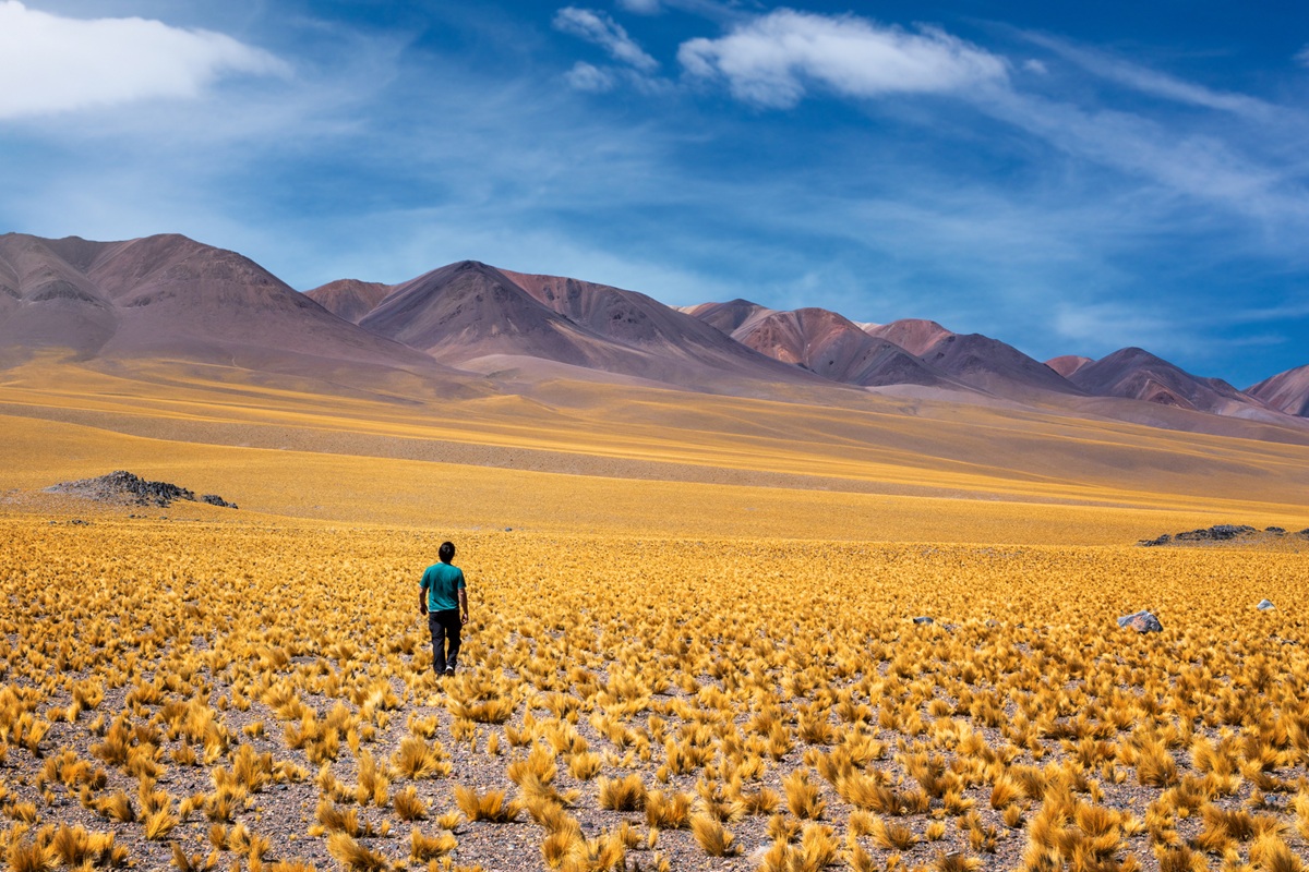 Camperreizen Argentinië en Chili