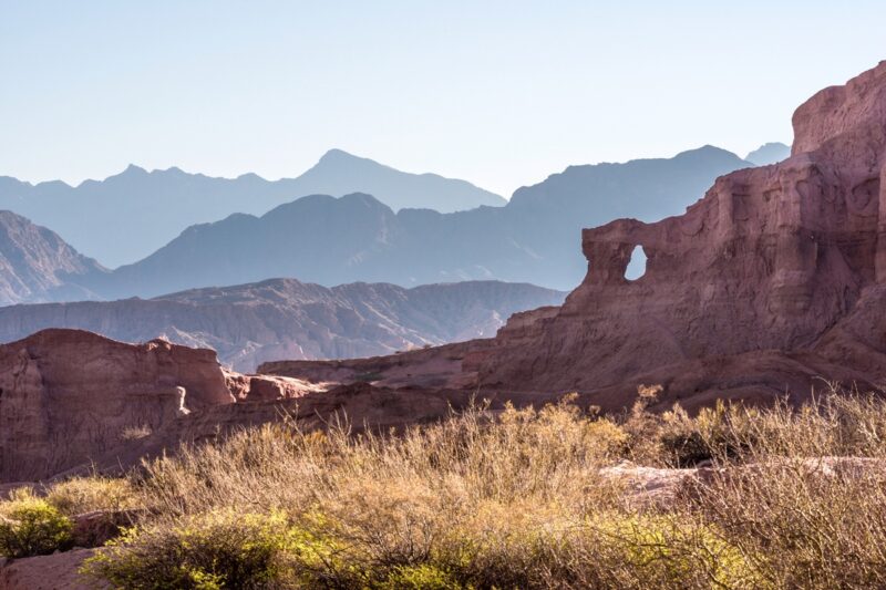 De torrontés wijn uit Argentinië: dé trots van Salta en Cafayate