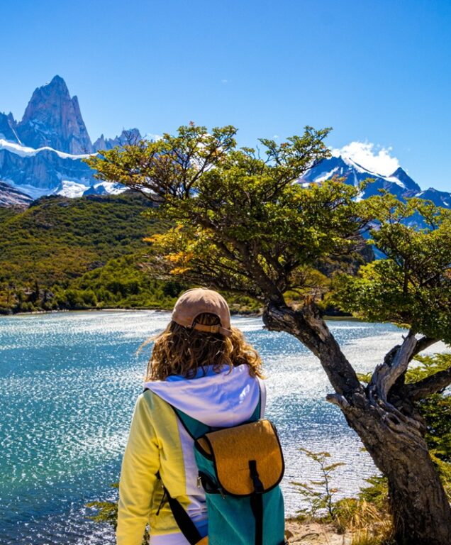 Hoogtepunten Patagonië
