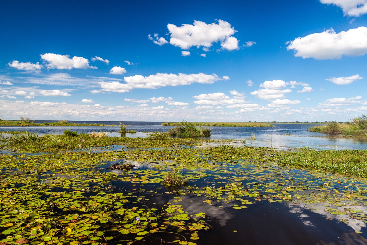 Esteros del Iberá: het grootste moerasgebied van Argentinië