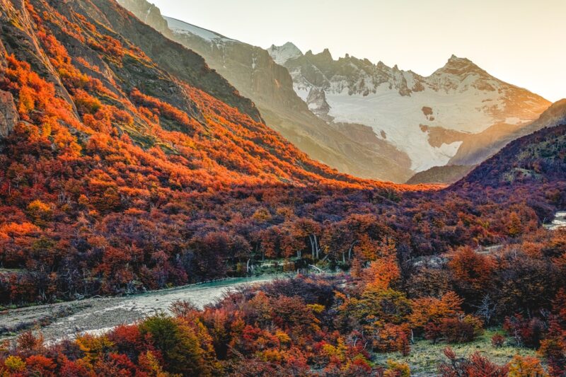 Explora El Chaltén Patagonië