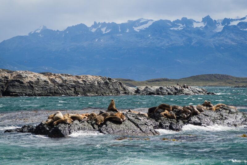 Met Holland America Line naar Chili en Argentinië
