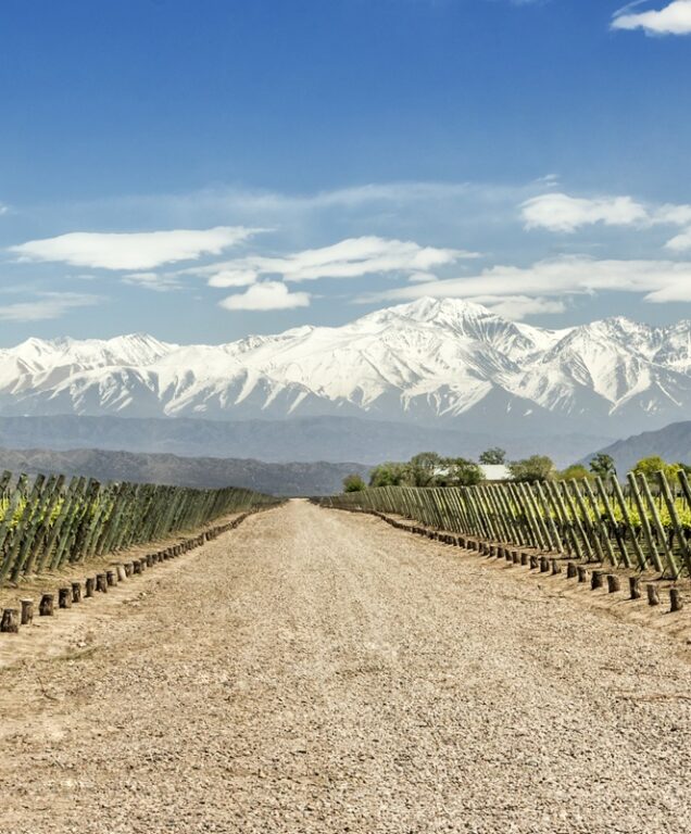 Mendoza Argentinië