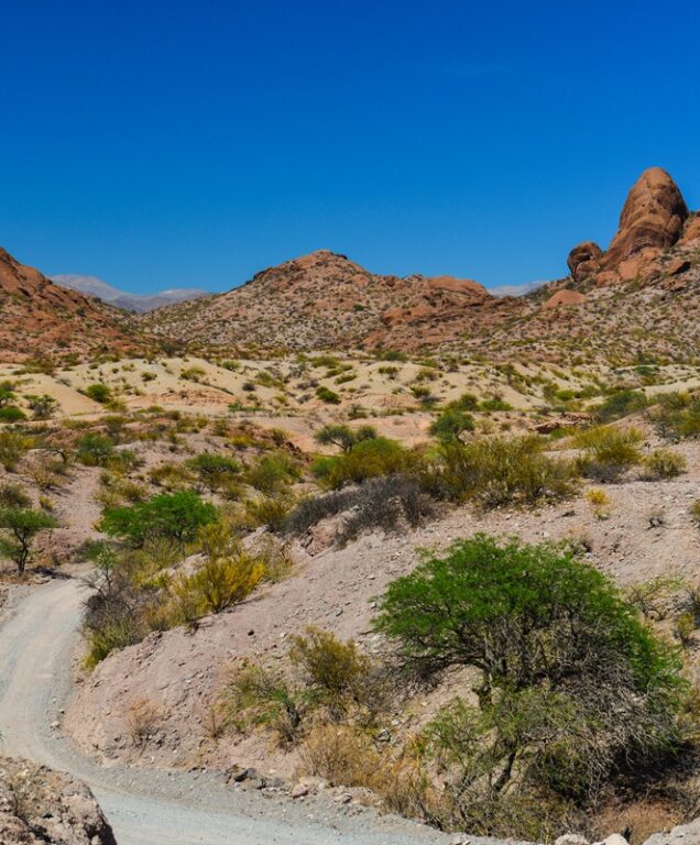 Molinos Argentinië