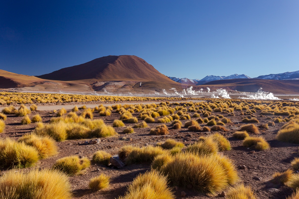 Mooiste selfdrives Chili: 4 onvergetelijke roadtrips van Atacama tot Patagonië