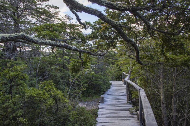 Patagonia Camp: de ultieme glamping-ervaring in Torres del Paine