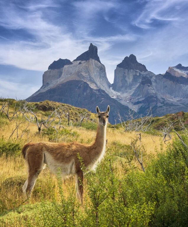 Patagonië Argentinië
