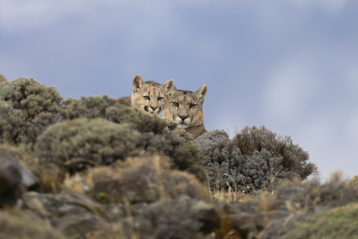 Poema fotoreis Torres del Paine