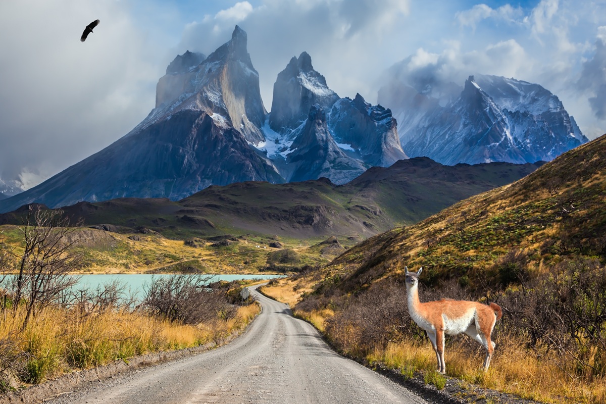 Poema fotoreis Torres del Paine