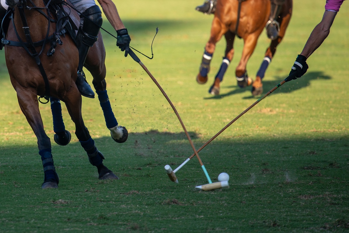 Polo Argentinië