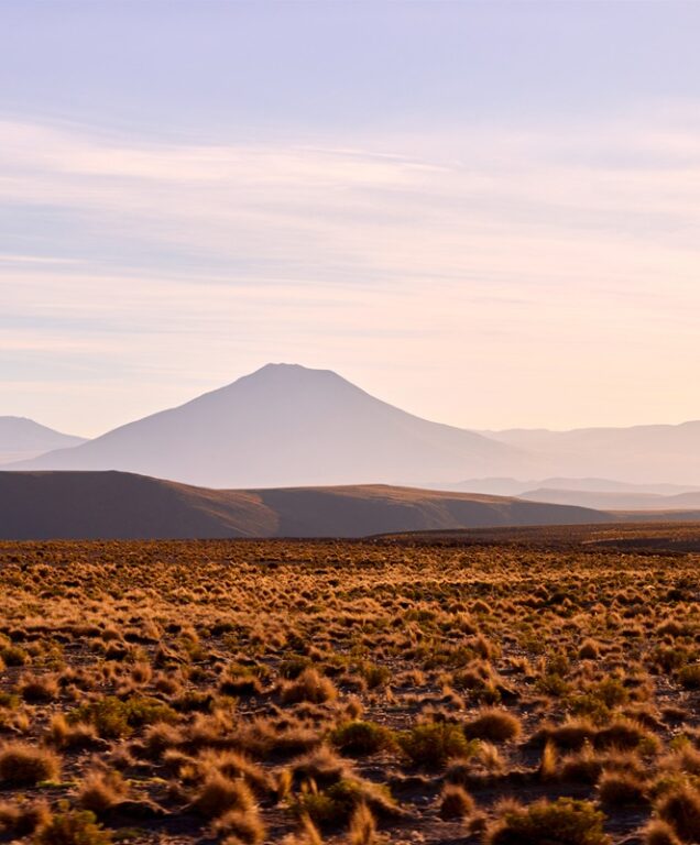 Puna Argentinië