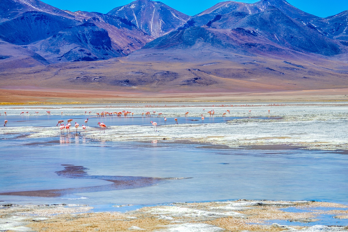 Rondreis Argentinië, Chili en Bolivia