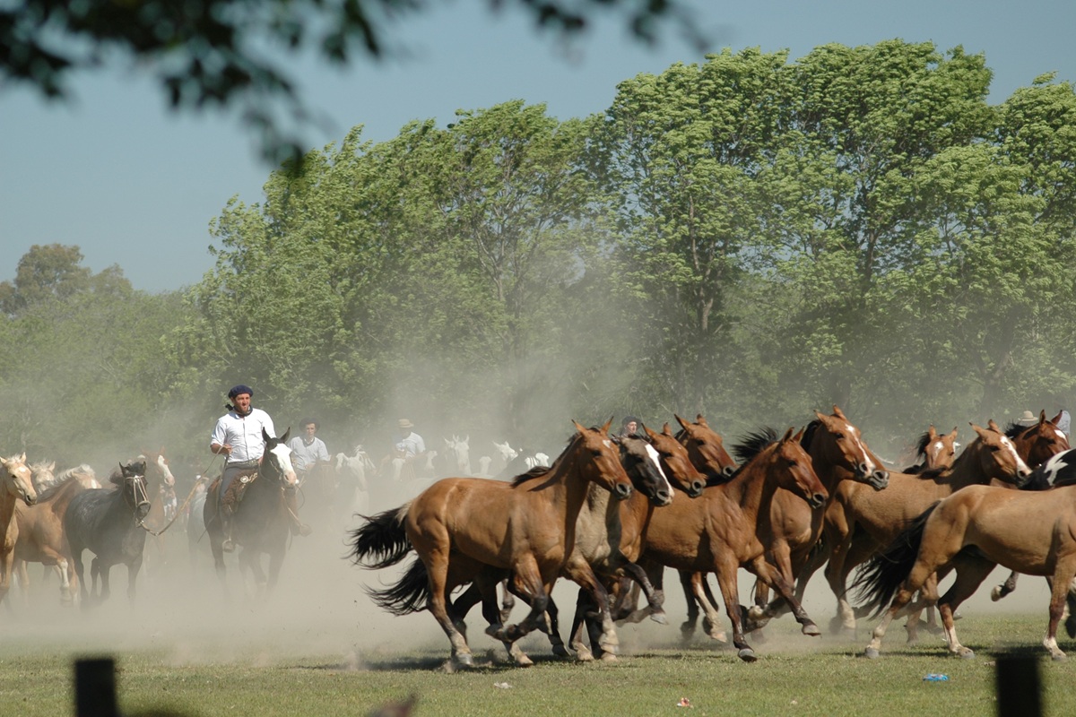San Antonio de Areco: bakermat van de Argentijnse gauchotraditie