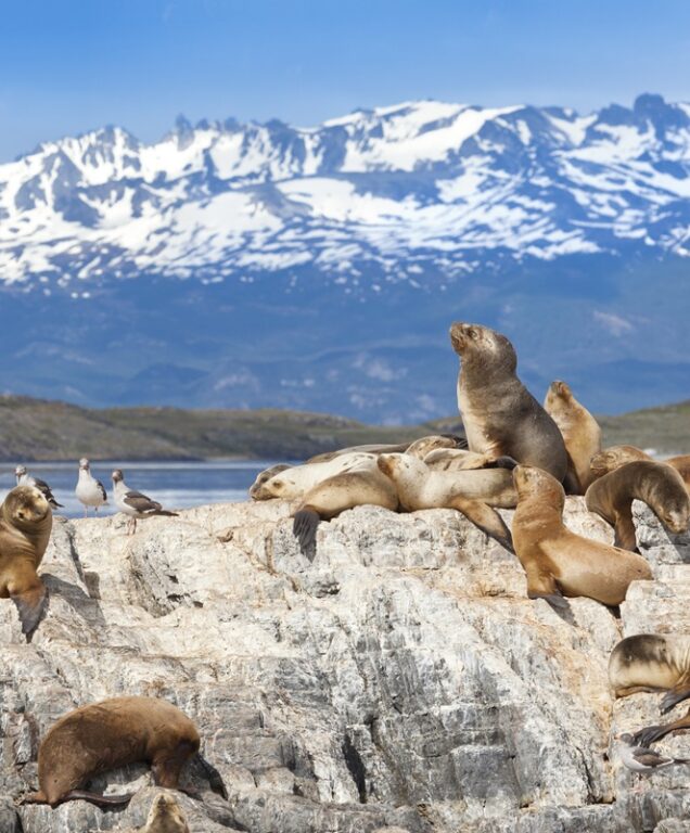 Tierra del Fuego Argentinië