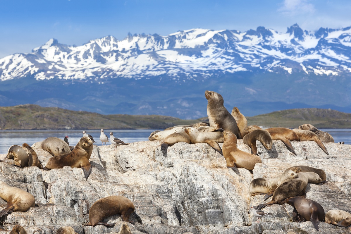 Tierra del Fuego Argentinië