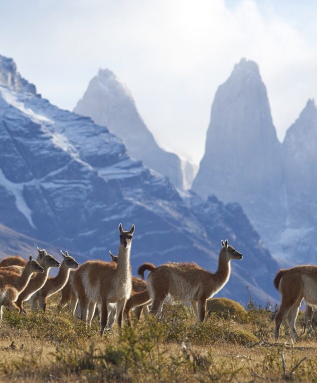 Torres del Paine Chili