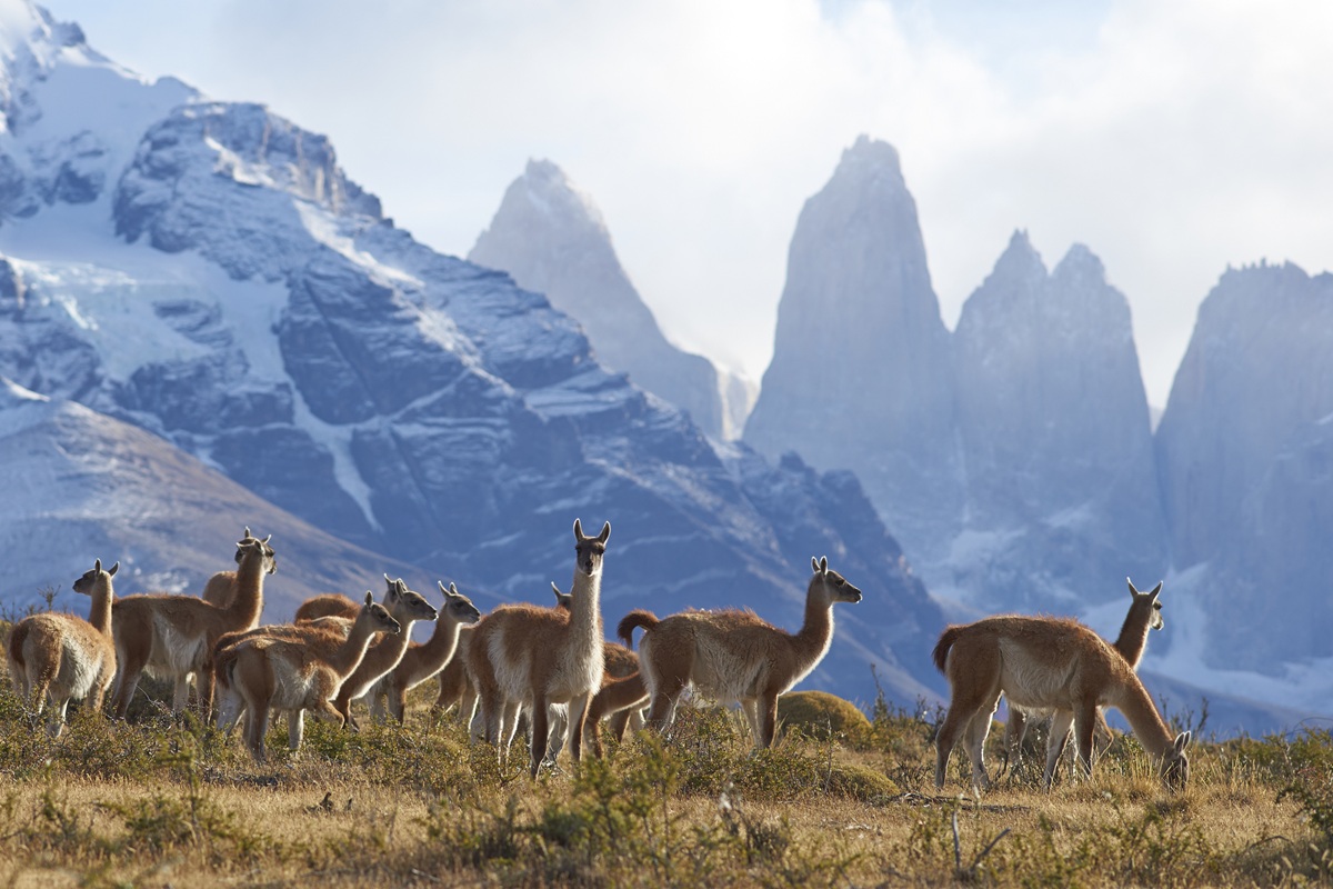 Torres del Paine Chili