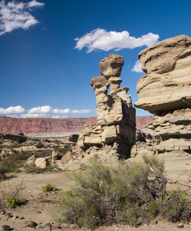 Valle de la Luna Argentinië
