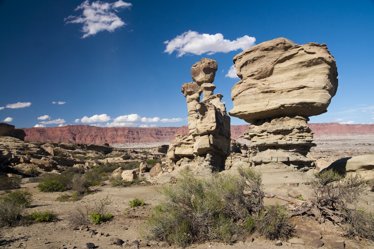 Valle de la Luna Argentinië