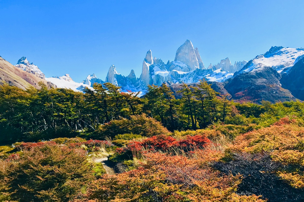 W trek Torres del Paine: mooiste trekking van Patagonië