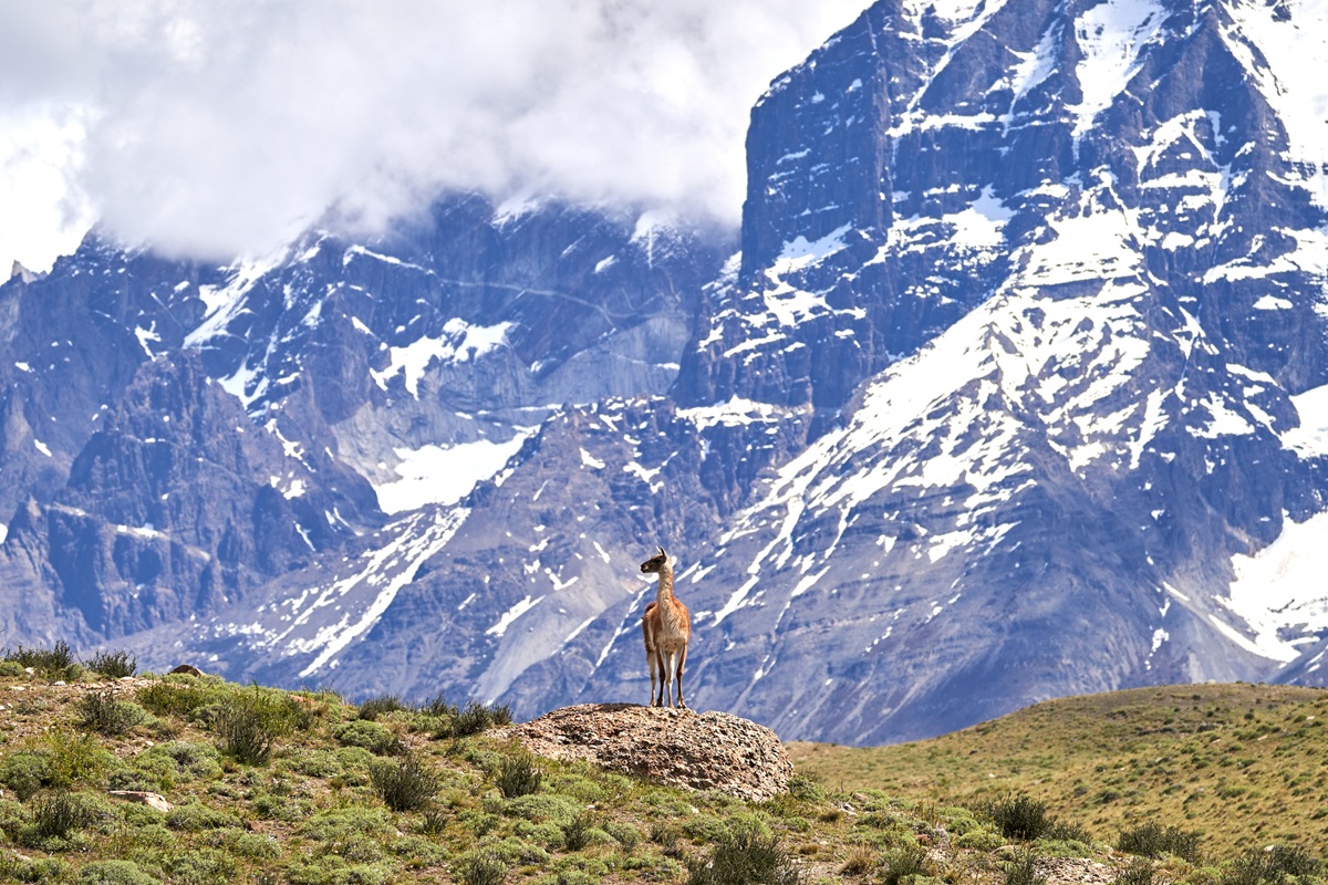 W-trekking Torres del Paine