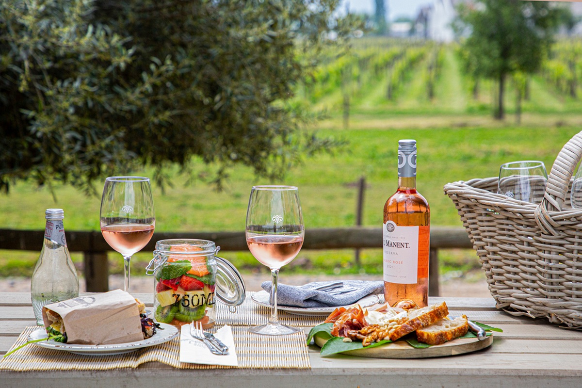Wijn in Chili: de beste wijnregio's, druivenrassen en wijnhuizen